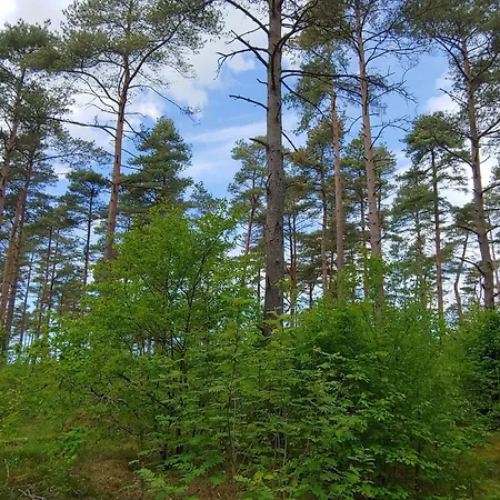 4 Person In Oksbol-by Traum * Oksbøl