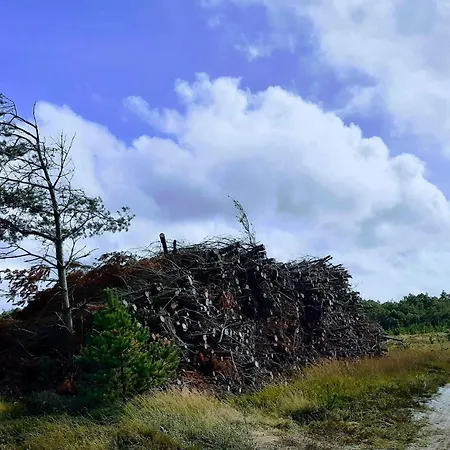 4 Person In Oksbol-by Traum بيت للعطل