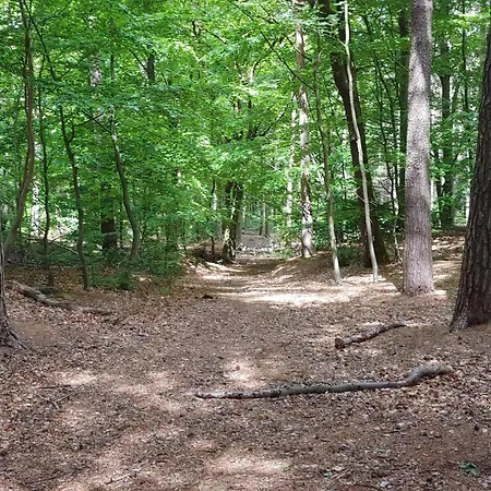 4 Person In Oksbol-by Traum